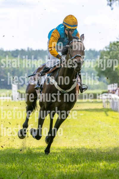 20240615-134958-stromsholm-20240615-lop-173