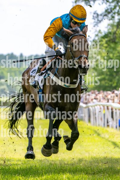20240615-134958-stromsholm-20240615-lop-174