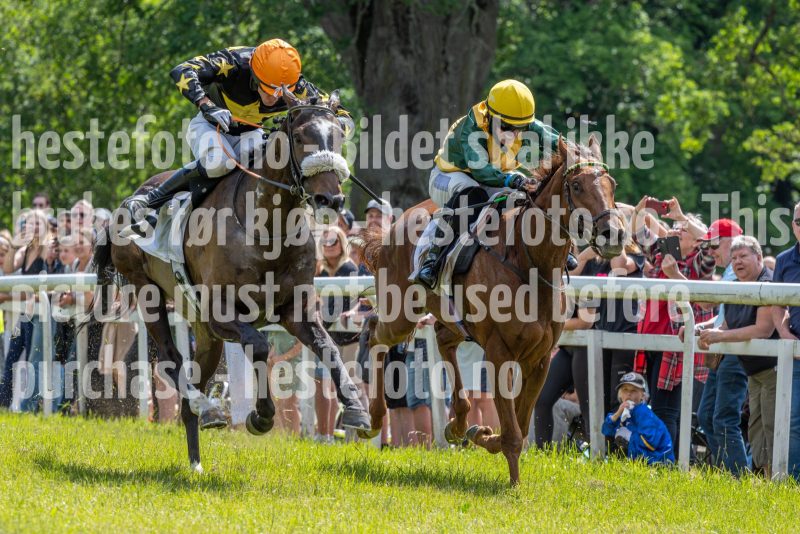 20240615-134958-stromsholm-20240615-lop-175