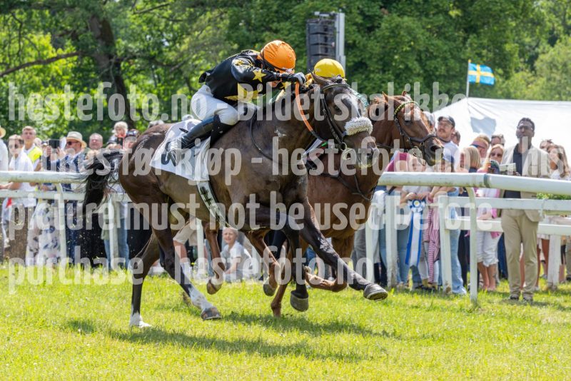 20240615-134959-stromsholm-20240615-lop-180