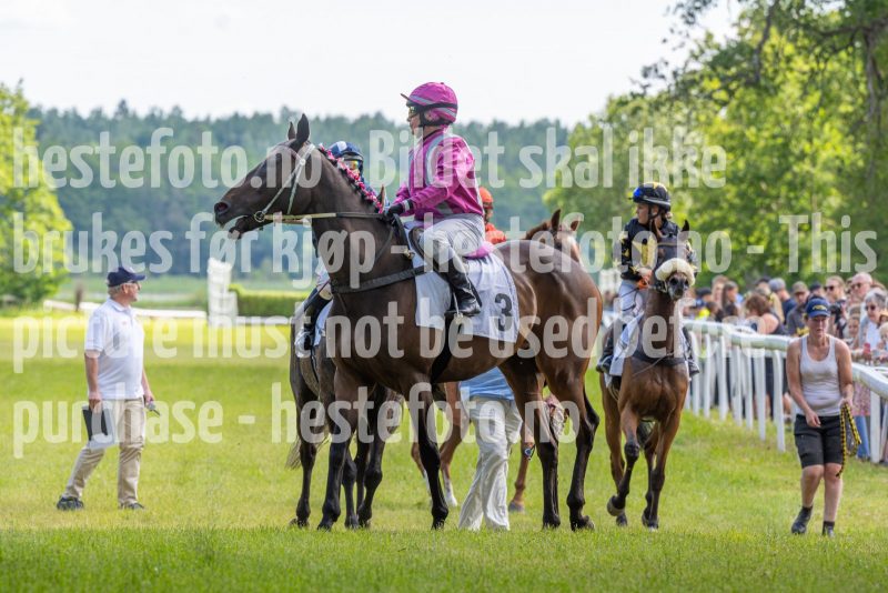 20240615-140652-stromsholm-20240615-lop-197