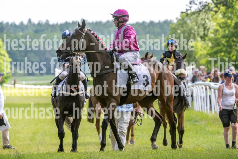 20240615-140648-stromsholm-20240615-lop-194