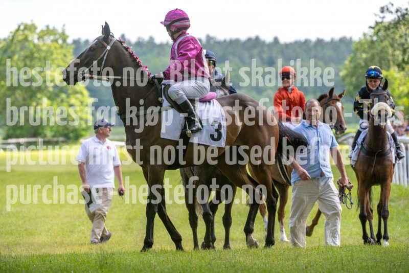 20240615-140649-stromsholm-20240615-lop-195