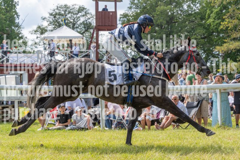20240615-141345-stromsholm-20240615-lop-233