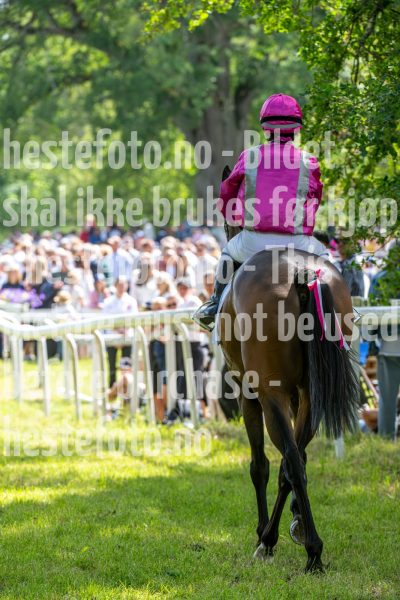 20240615-141539-stromsholm-20240615-lop-243