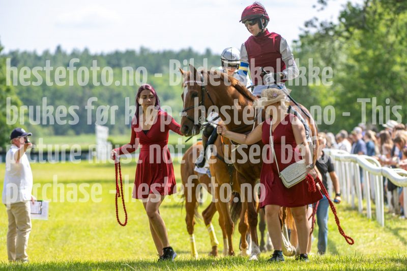 20240615-143829-stromsholm-20240615-lop-264