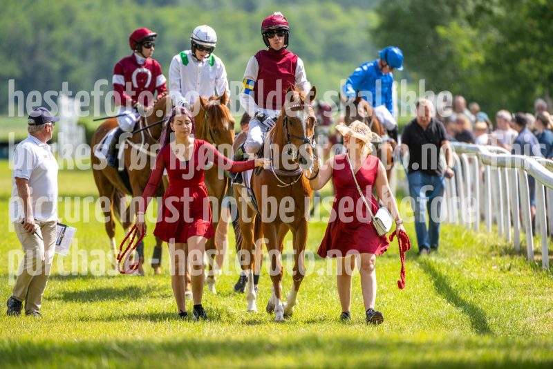 20240615-143820-stromsholm-20240615-lop-262