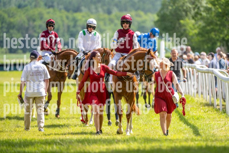 20240615-143821-stromsholm-20240615-lop-263