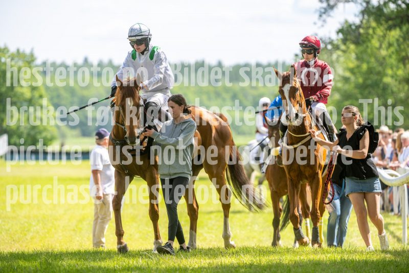 20240615-143833-stromsholm-20240615-lop-267