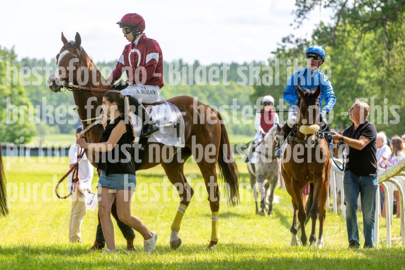 20240615-143836-stromsholm-20240615-lop-269