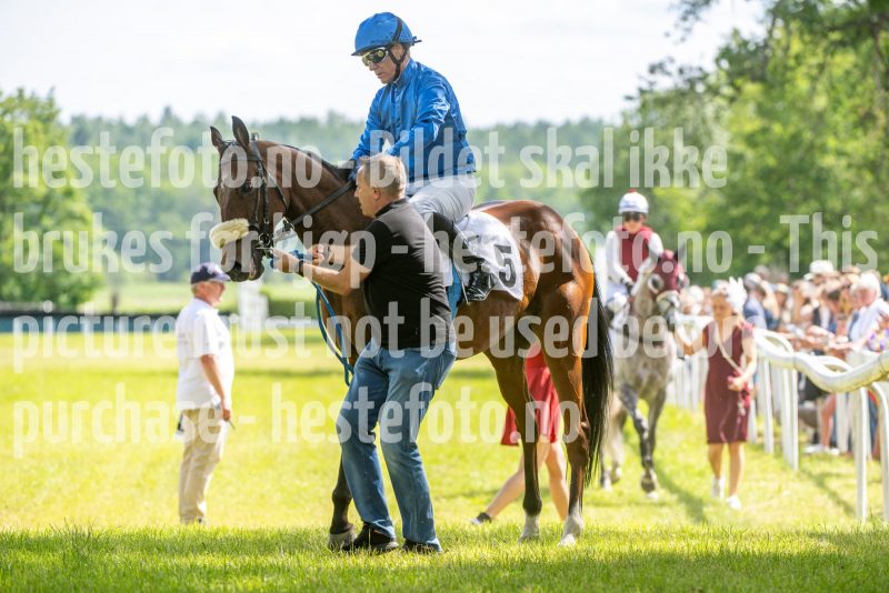 20240615-143839-stromsholm-20240615-lop-271