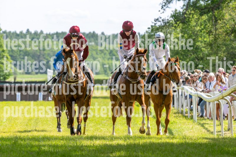 20240615-144243-stromsholm-20240615-lop-280