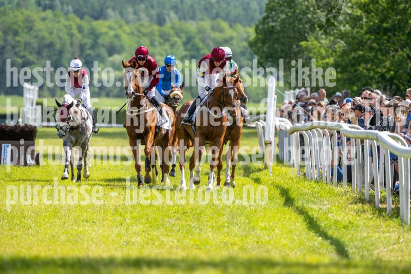 20240615-144237-stromsholm-20240615-lop-277
