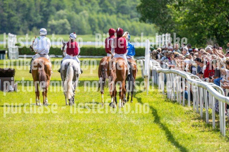 20240615-144336-stromsholm-20240615-lop-286