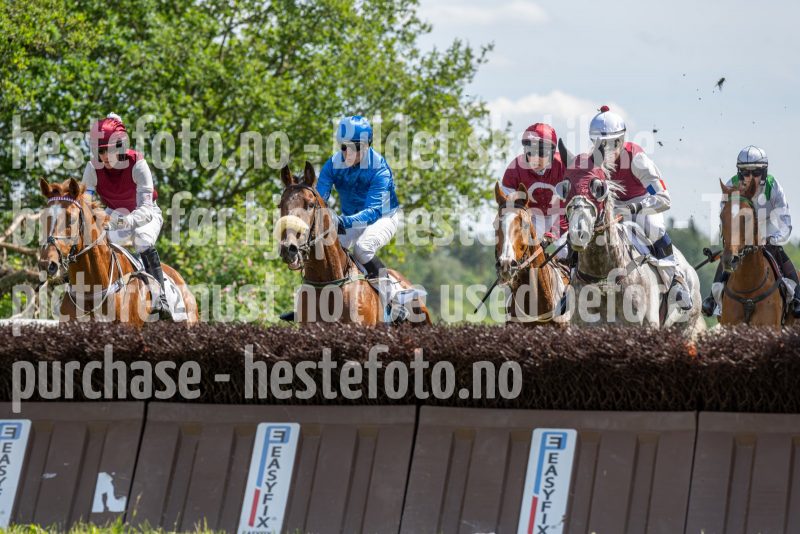 20240615-144927-stromsholm-20240615-lop-295