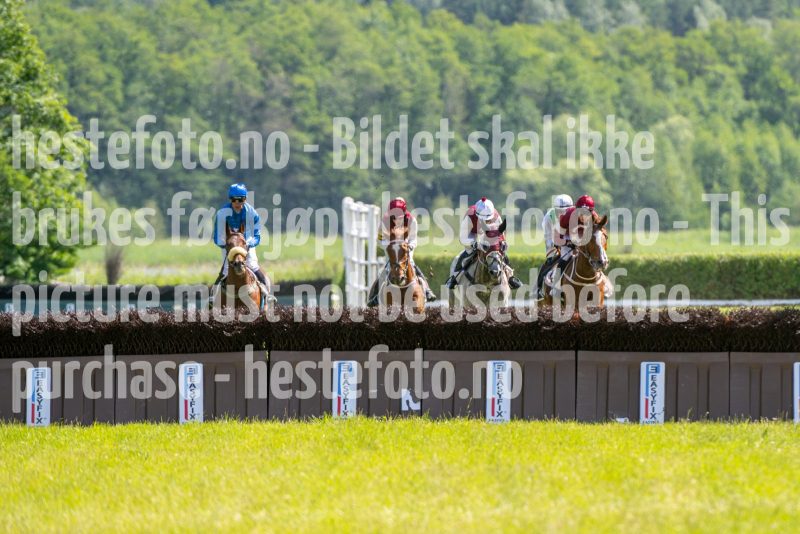 20240615-145059-stromsholm-20240615-lop-303