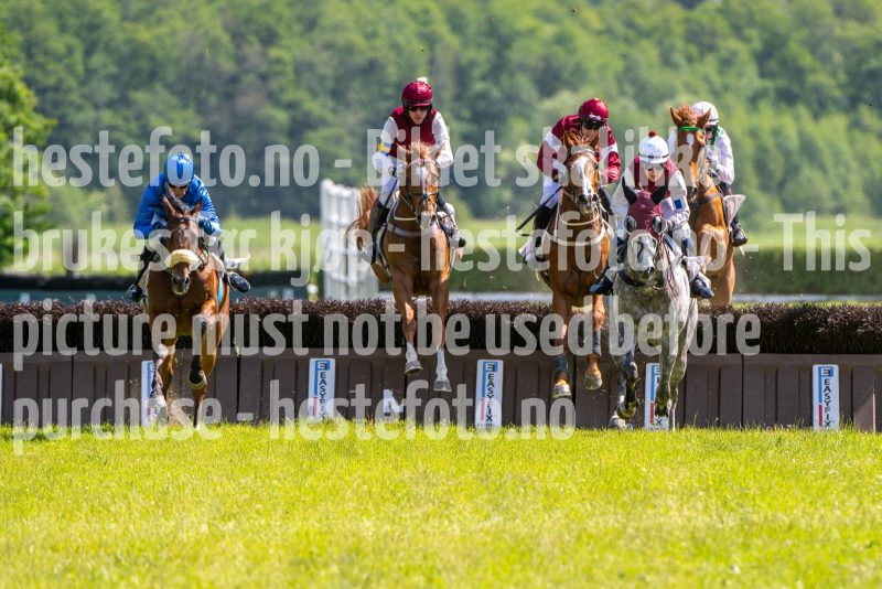 20240615-145103-stromsholm-20240615-lop-307