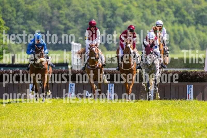 20240615-145103-stromsholm-20240615-lop-308