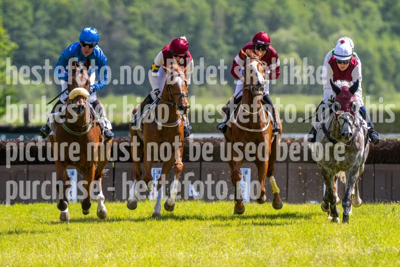 20240615-145104-stromsholm-20240615-lop-310