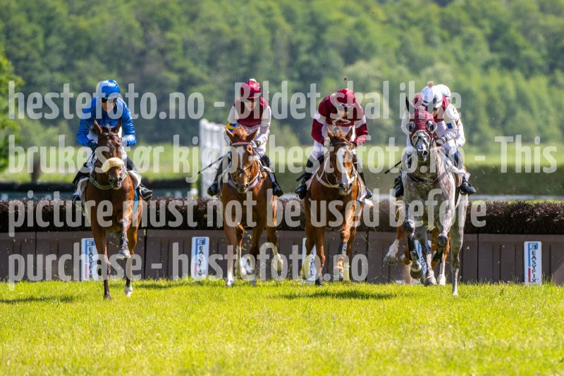 20240615-145103-stromsholm-20240615-lop-309