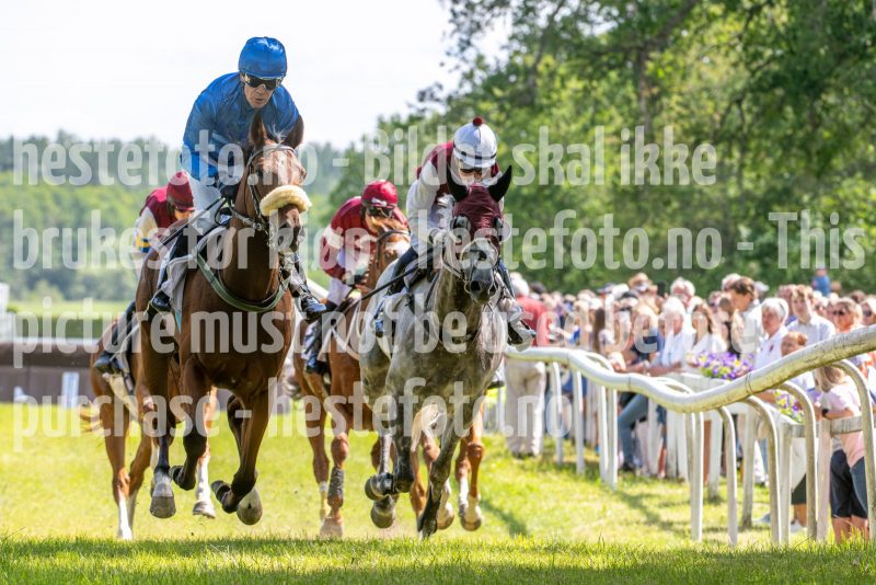 20240615-145107-stromsholm-20240615-lop-314