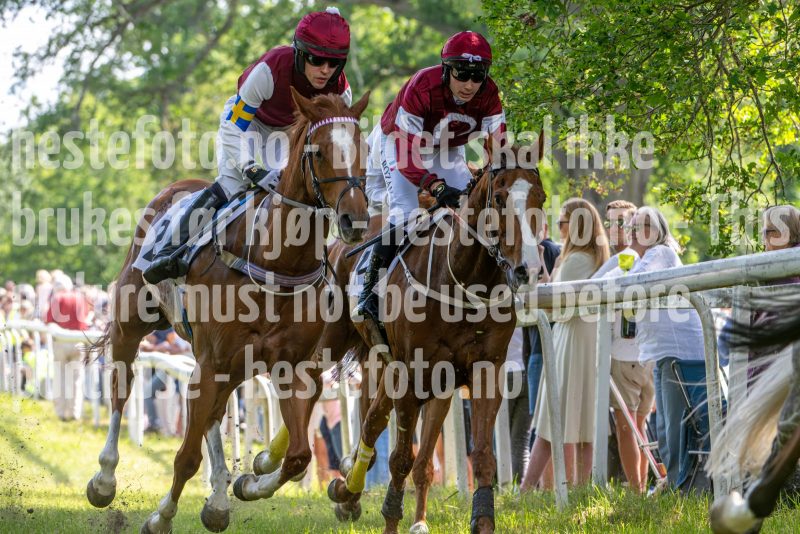 20240615-145108-stromsholm-20240615-lop-316