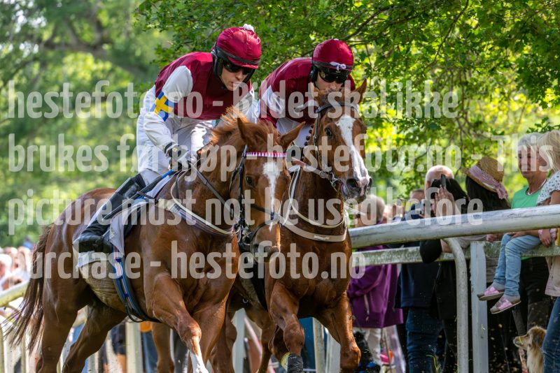 20240615-145109-stromsholm-20240615-lop-317