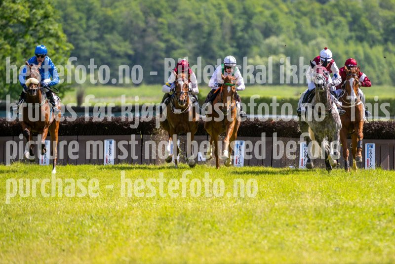 20240615-145235-stromsholm-20240615-lop-325
