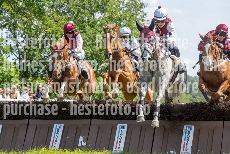 20240615-145237-stromsholm-20240615-lop-327