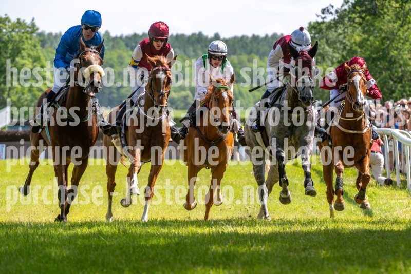 20240615-145239-stromsholm-20240615-lop-331