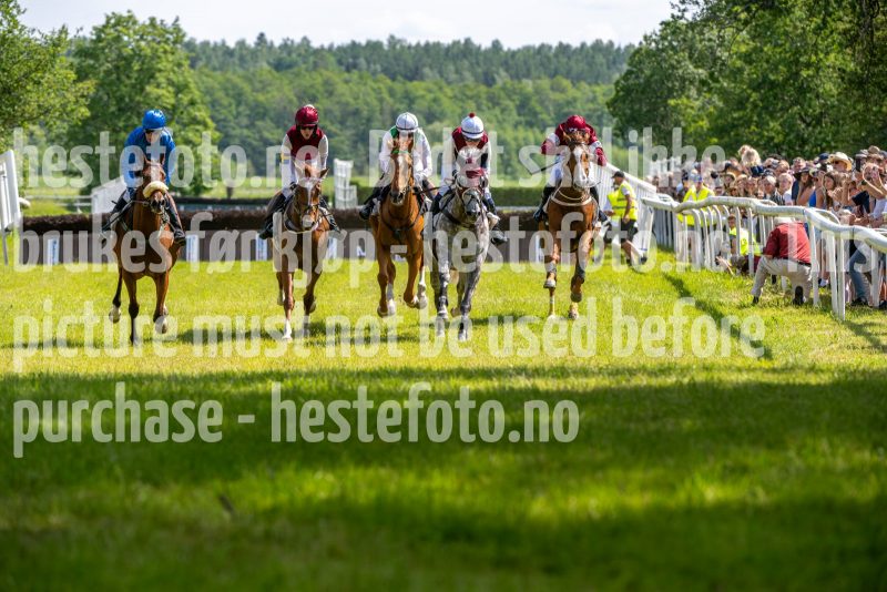 20240615-145238-stromsholm-20240615-lop-328