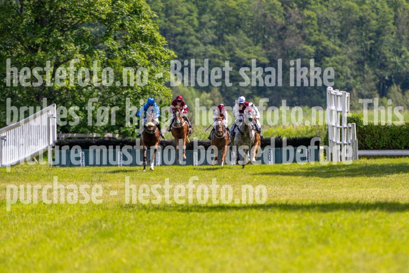 20240615-145347-stromsholm-20240615-lop-338