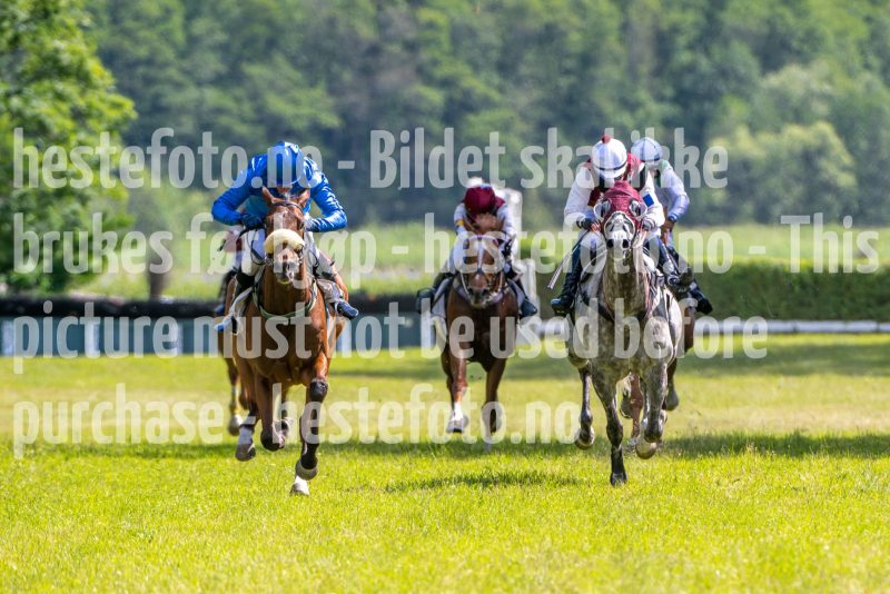 20240615-145354-stromsholm-20240615-lop-340