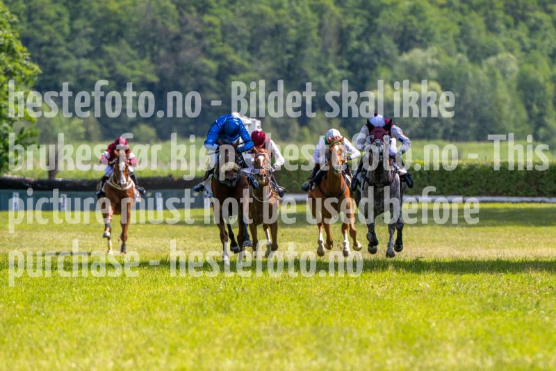 20240615-145353-stromsholm-20240615-lop-339