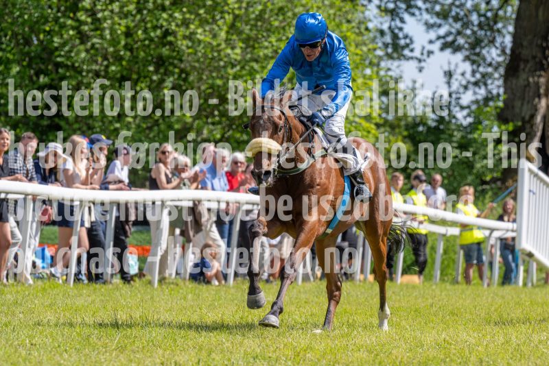 20240615-145400-stromsholm-20240615-lop-349