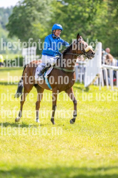 20240615-145713-stromsholm-20240615-lop-360