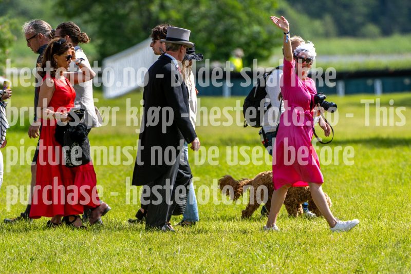 20240615-145842-stromsholm-20240615-lop-367