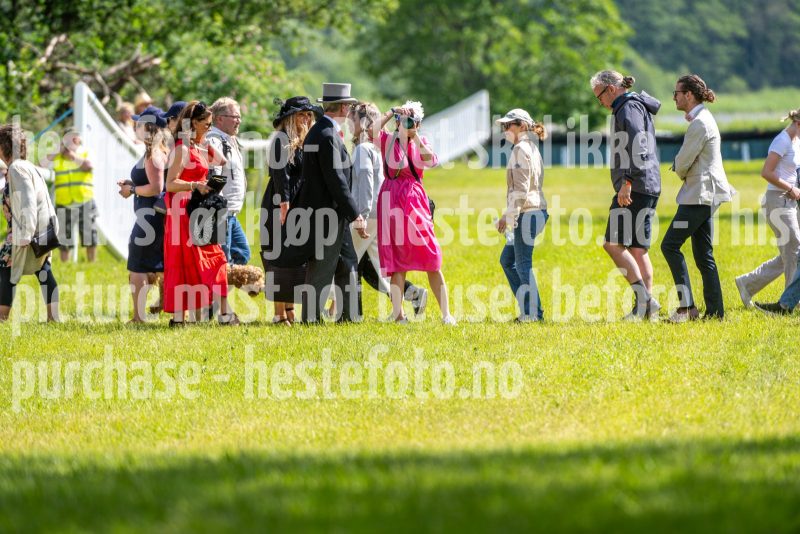 20240615-145839-stromsholm-20240615-lop-366