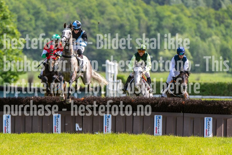 20240615-151932-stromsholm-20240615-lop-383