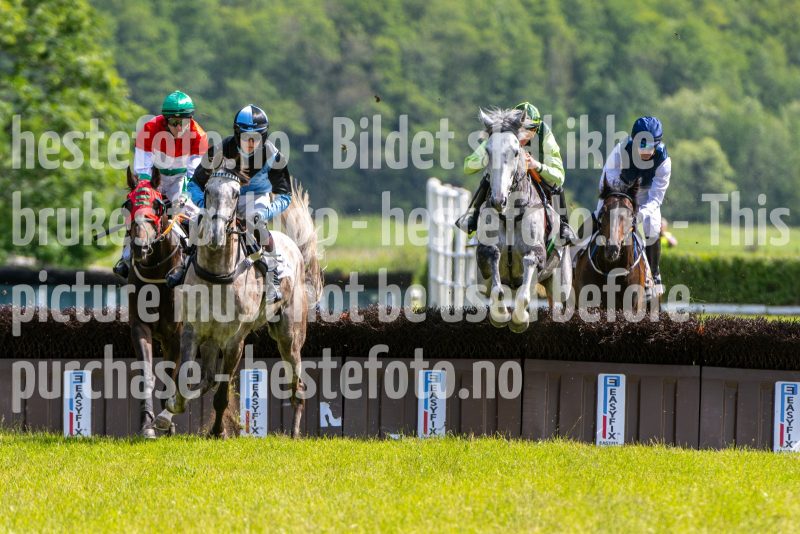 20240615-151932-stromsholm-20240615-lop-384
