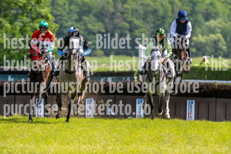20240615-151933-stromsholm-20240615-lop-385