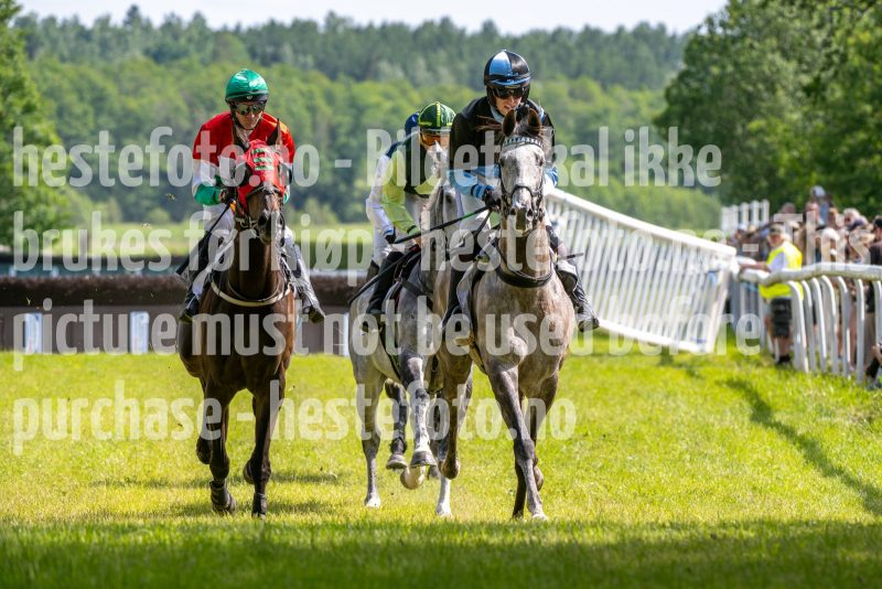 20240615-151936-stromsholm-20240615-lop-389