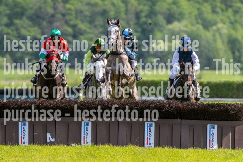 20240615-152102-stromsholm-20240615-lop-393