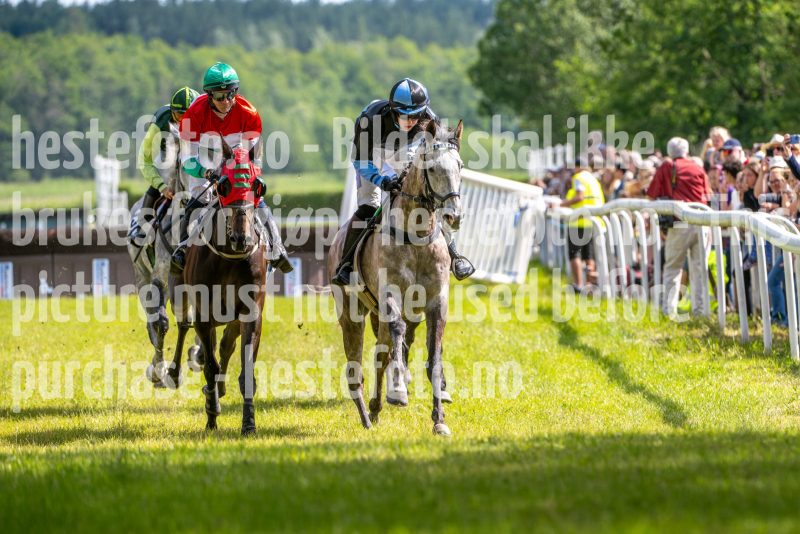 20240615-152106-stromsholm-20240615-lop-399