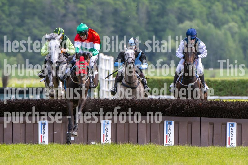20240615-152226-stromsholm-20240615-lop-409