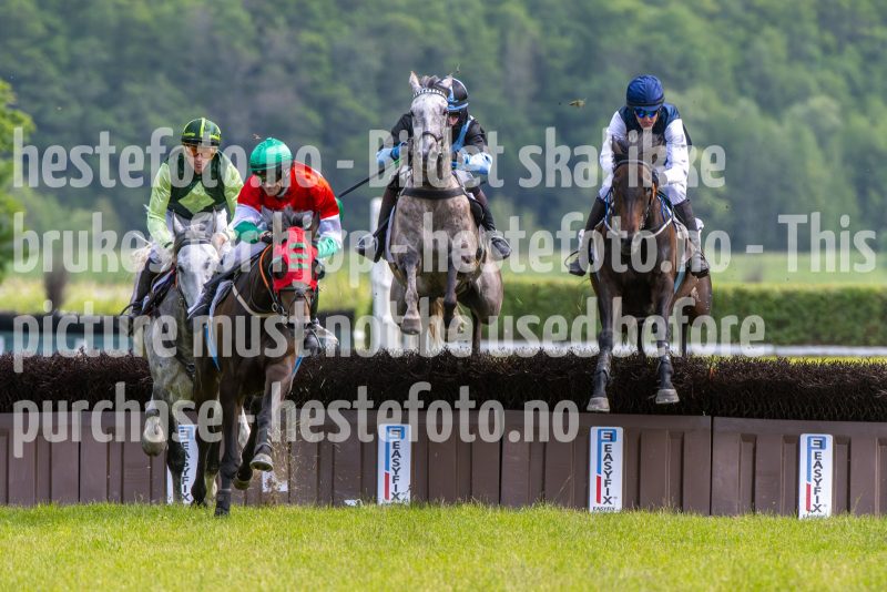 20240615-152226-stromsholm-20240615-lop-410