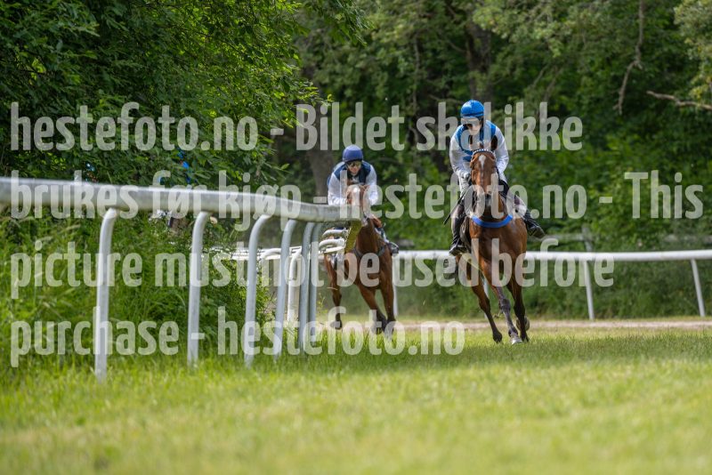 20240615-155940-stromsholm-20240615-lop-480
