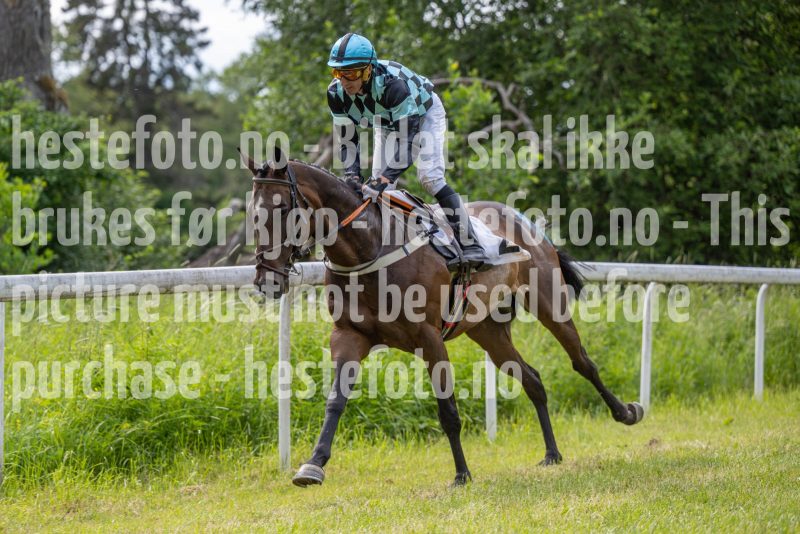 20240615-155945-stromsholm-20240615-lop-485
