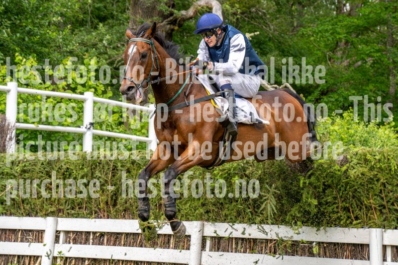 20240615-160142-stromsholm-20240615-lop-495