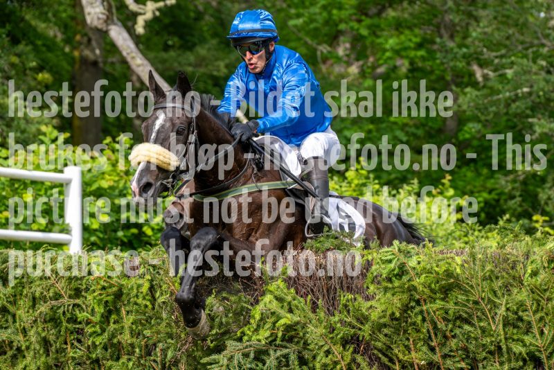 20240615-160308-stromsholm-20240615-lop-520